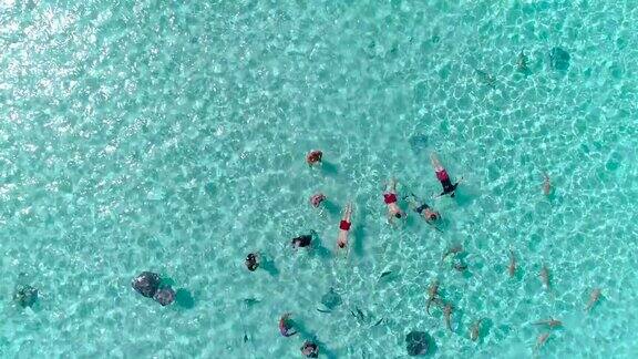 一架无人机的鸟瞰图潜水员浮潜看到鲨鱼和鱼在太平洋附近的莫雷阿岛清澈的蓝色泻湖这里是休闲度假、探险和旅游的天堂旅行热带概念-4K