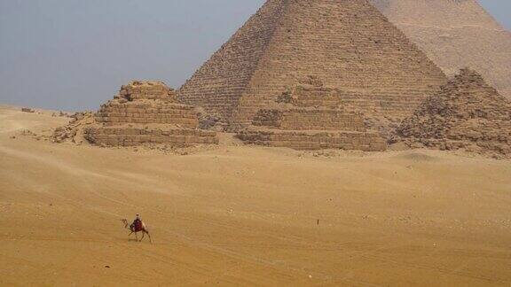 埃及吉萨的骆驼和金字塔