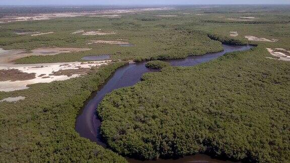 红树林沼泽河流和沙区向下延伸到红树林