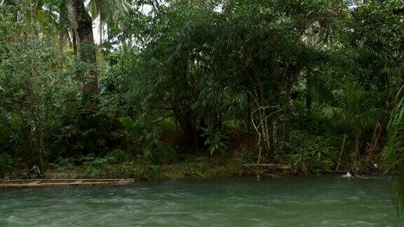 这条河在丛林中流过雨林热带河流丛林