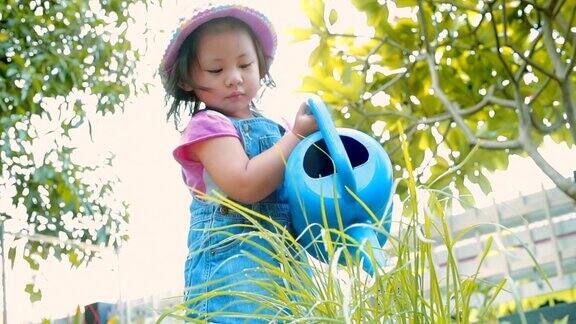 小女孩在花园里给植物浇水