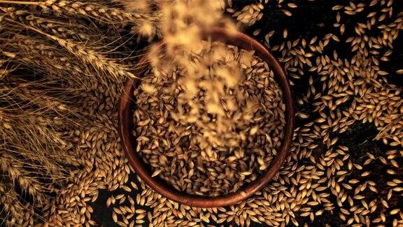 超级慢动作成熟的大麦粒落在黑色背景的盘子上用高速摄像机以每秒1000帧的速度拍摄