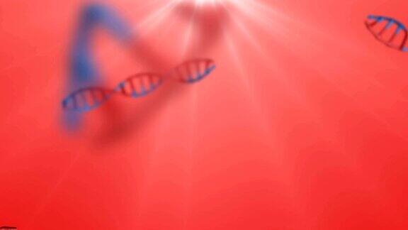 DNA序列:两种DNA结合