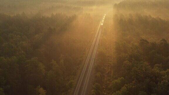 火车在黎明时穿过森林阳光照亮了森林上的雾