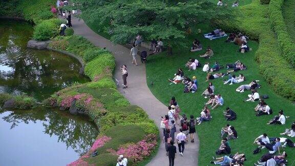 日本人周末在公园的草地上放松