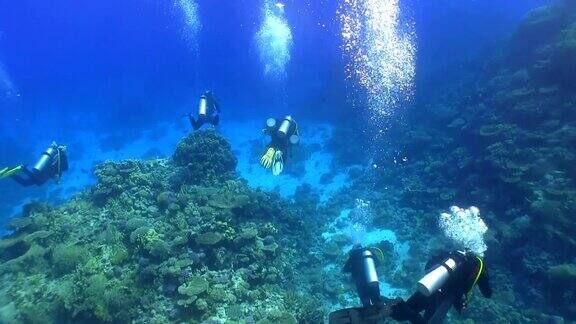 一群潜水员游过珊瑚礁