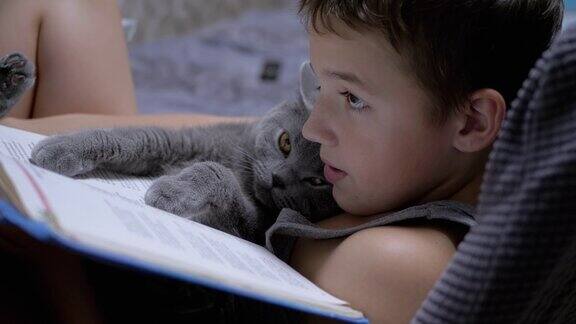 戴眼镜的严肃男孩在家看一本有趣的书手里拿着一只猫