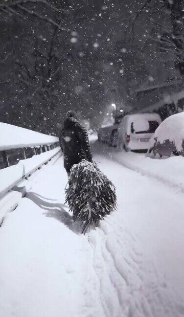 在雪地里拖着圣诞树