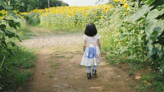 蹒跚学步的小女孩走在夏日的向日葵地里