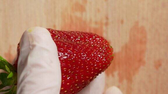 戴着橡胶手套的手拿着成熟的草莓特写慢镜头