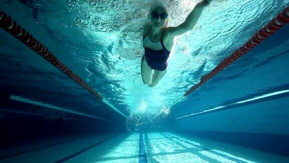 游泳训练-自由泳技术