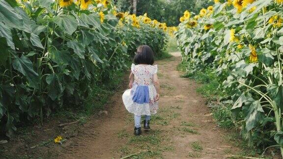 蹒跚学步的小女孩走在夏日的向日葵地里