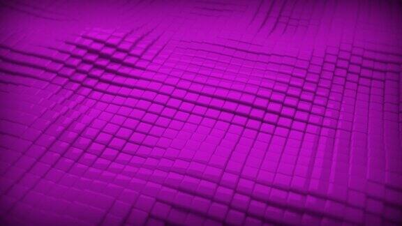 三维光滑的粉红色紫罗兰立方体波浪抽象最小几何运动背景无缝循环背景动画高级最小动画横幅现代壁纸的文本和演示文稿模板