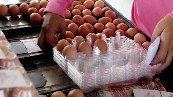 工人把鸡蛋放在包装上