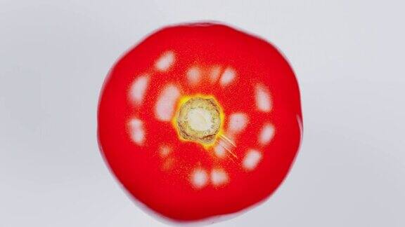 番茄在浅色背景上旋转素食俯视图