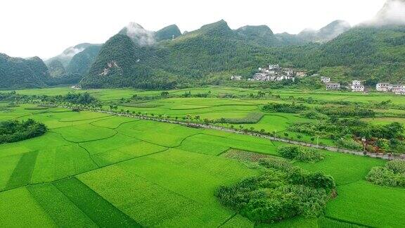 鸟瞰喀斯特山峰森林(万峰林)中的村庄和稻田贵州中国
