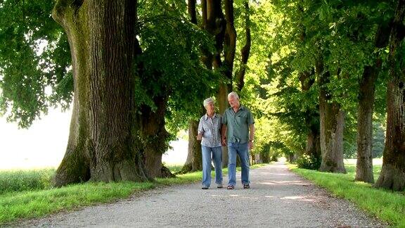 高清多莉:在公园散步的相爱的老年夫妇