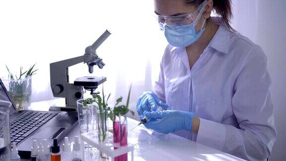 实验室工作人员用试管中的植物进行生物学研究然后在显微镜下检查它们