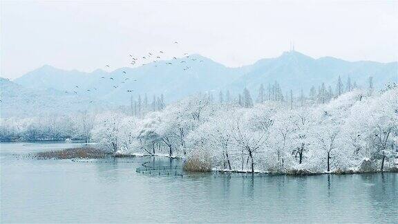 杭州的美丽风景