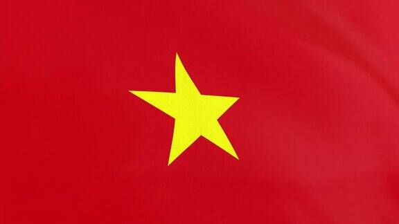 越南国旗环