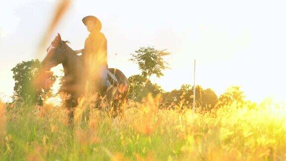 在日落的光在土地上骑马的剪影