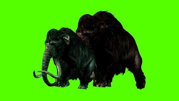 3D渲染动画-猛犸象攻击绿色屏幕上的一方