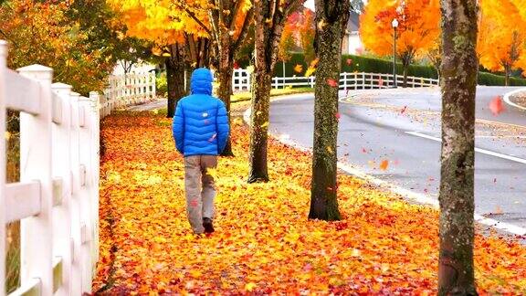 人走在人行道上秋叶飘落