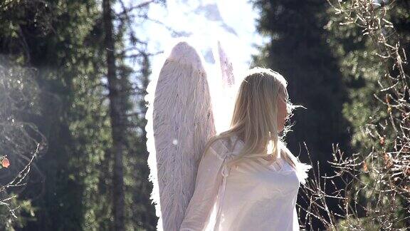 梦想的天使