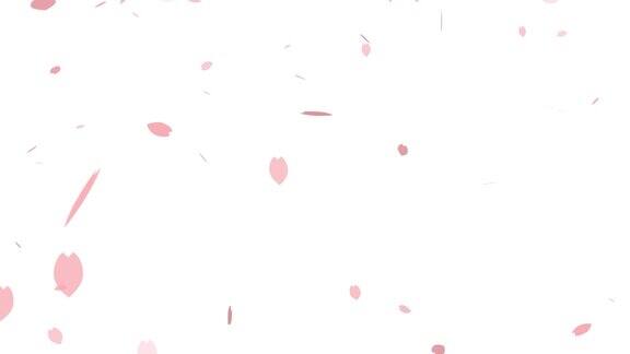 樱花花瓣飘落的动画