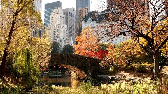 纽约中央公园的秋天