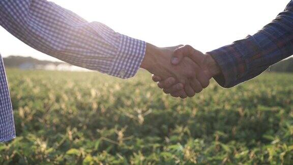 在绿色的田野上与农民握手大豆田里的农民签订合同