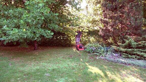 在美丽的傍晚阳光下一个年轻人在院子里割草FullHD