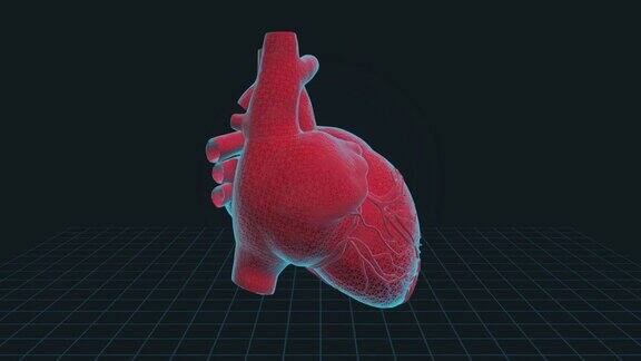 心脏感染疾病-4K循环医学背景