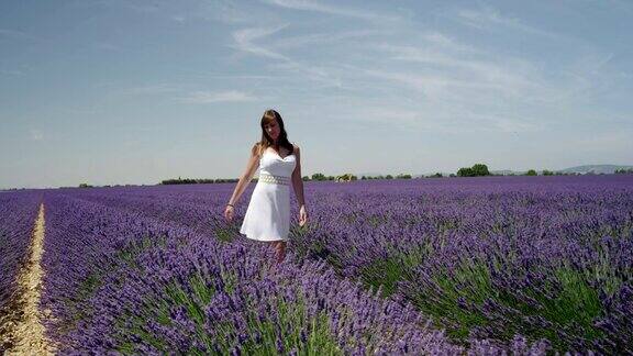 慢镜头:年轻女子走过法国普罗旺斯美丽的薰衣草田