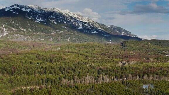 蒙大拿州的雪山和浓密的常绿森林-空中