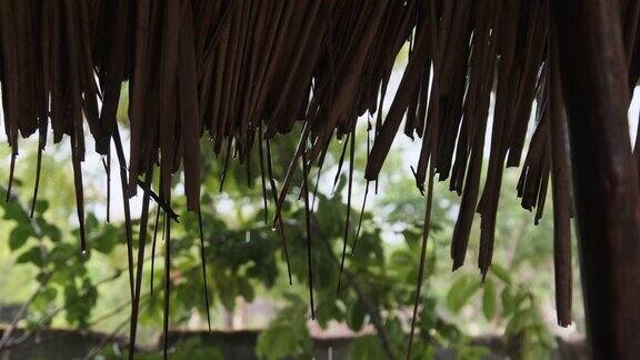 非洲的热带降雨平房茅草屋顶上的水滴