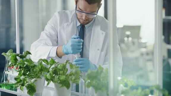 英俊的男性微生物添加生物营养补充剂维生素和矿物质从移液管生长绿色植物在现代食品科学实验室工作的医学科学家