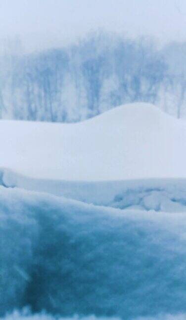 美丽的冬季风景与飘落的雪花