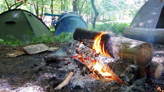 篝火在露营中燃烧在一个帐篷和原木在森林