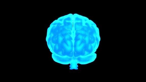 人类的大脑扫描