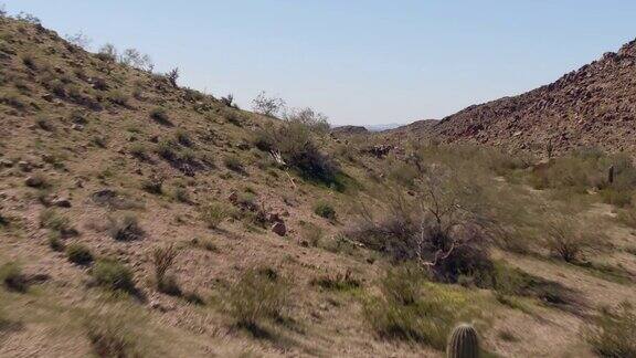 无人机拍摄的一个晴朗阳光明媚的一天飞越山顶揭示山谷下面的索诺兰沙漠国家纪念碑在亚利桑那州