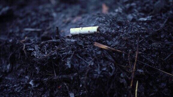 香烟发出的火焰野火黑灰