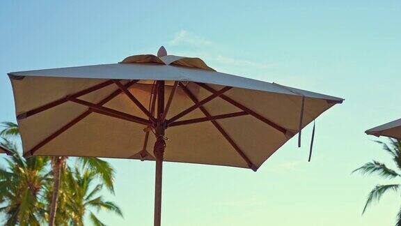 雨伞和椅子围绕海滩海边旅游