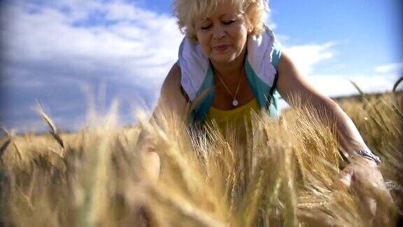 女人在金黄色的麦田里用手抚摸着小麦慢动作