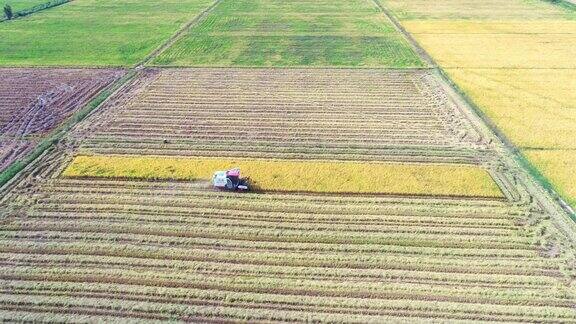 农业机械在稻田里收割水稻
