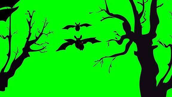 动画或电脑图形的卡通蝙蝠和树为万圣节在绿色色度键背景插入