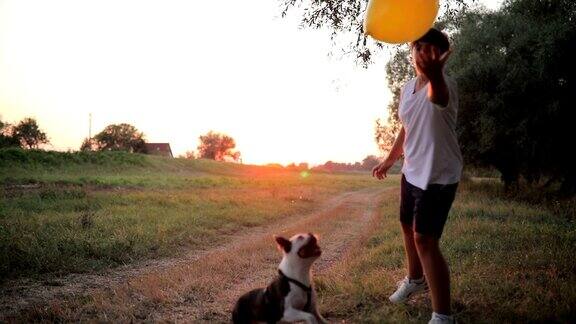 男孩他的狗和气球