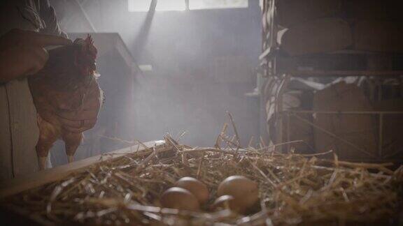 一个农民抱着一只母鸡旁边是一个箱子鸡蛋躺在干草上
