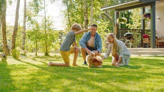 一家四口在后院和可爱的博美犬玩耍爸爸妈妈儿子宠物毛茸茸的聪明小狗教和训练它的命令阳光明媚的夏日在田园别墅