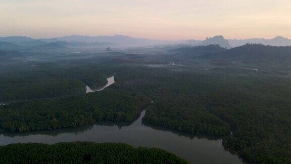 4k鸟瞰图多莉湿地河在红树林日出时间